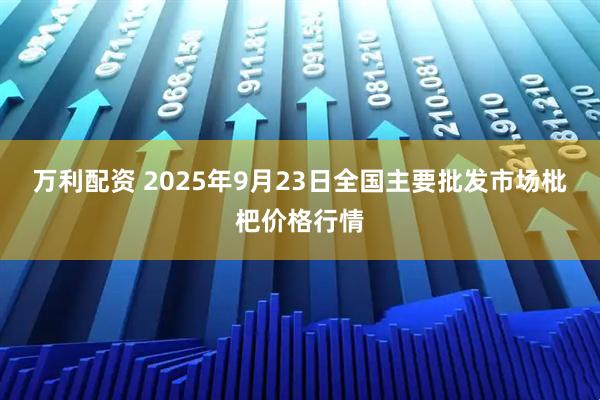 万利配资 2025年9月23日全国主要批发市场枇杷价格行情