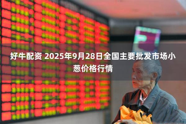 好牛配资 2025年9月28日全国主要批发市场小葱价格行情