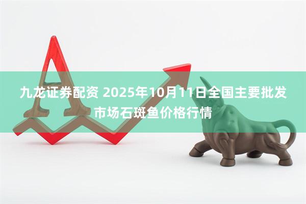 九龙证券配资 2025年10月11日全国主要批发市场石斑鱼价格行情