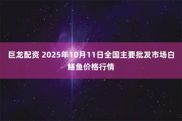 巨龙配资 2025年10月11日全国主要批发市场白鳝鱼价格行情
