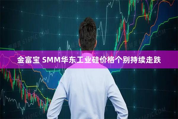 金富宝 SMM华东工业硅价格个别持续走跌