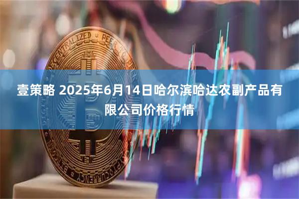 壹策略 2025年6月14日哈尔滨哈达农副产品有限公司价格行情